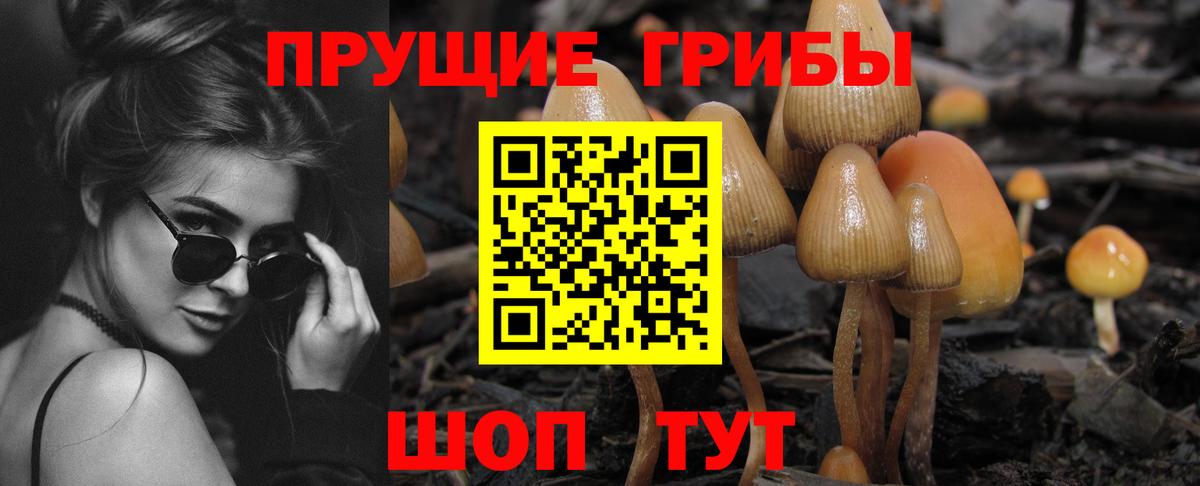 Галлюциногенные грибы мухоморы Ефремов